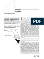 PDF Crocodile