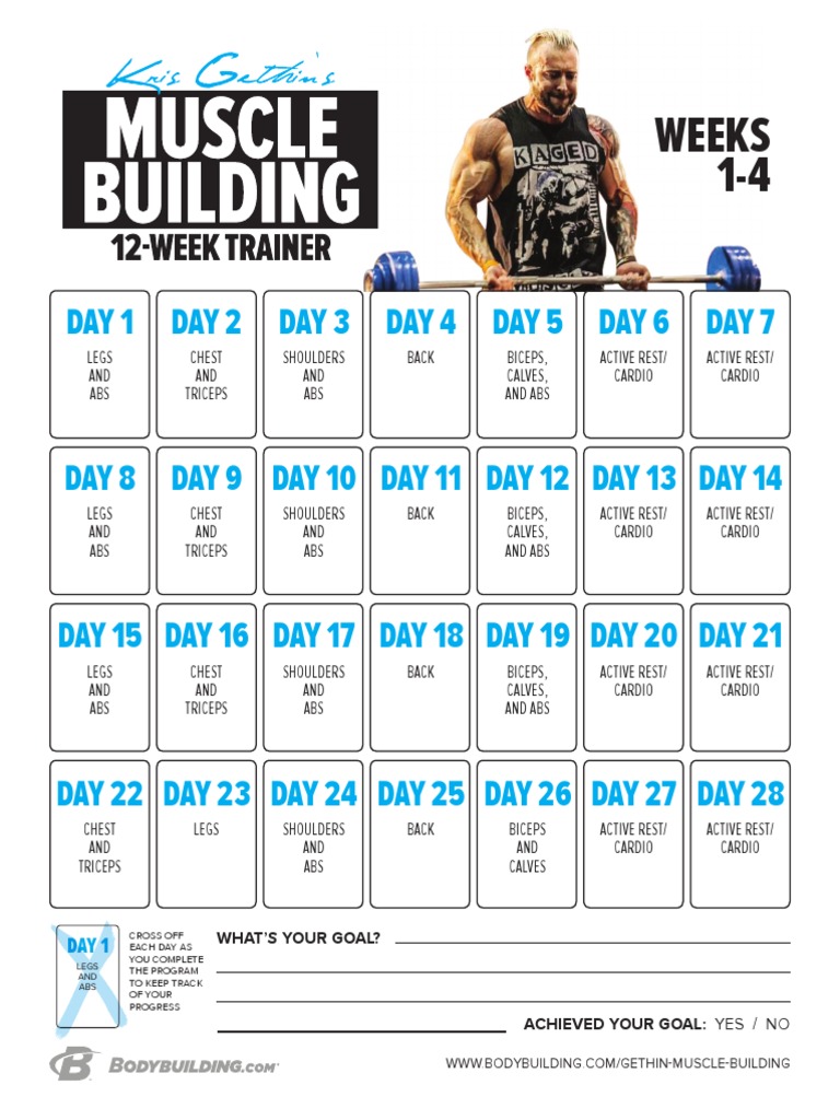 Kris Gethin Muscle Building Calendar PDF PDF Human Anatomy Elbow