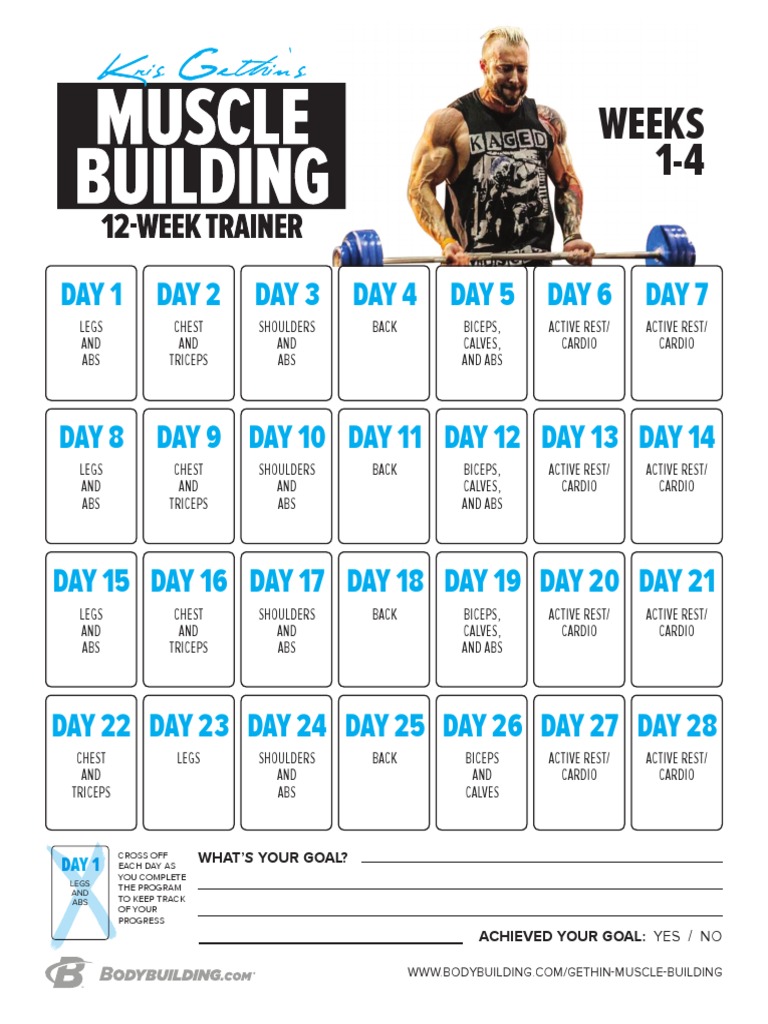 Kris Gethin Muscle Building Calendar PDF | PDF | Human Anatomy | Elbow