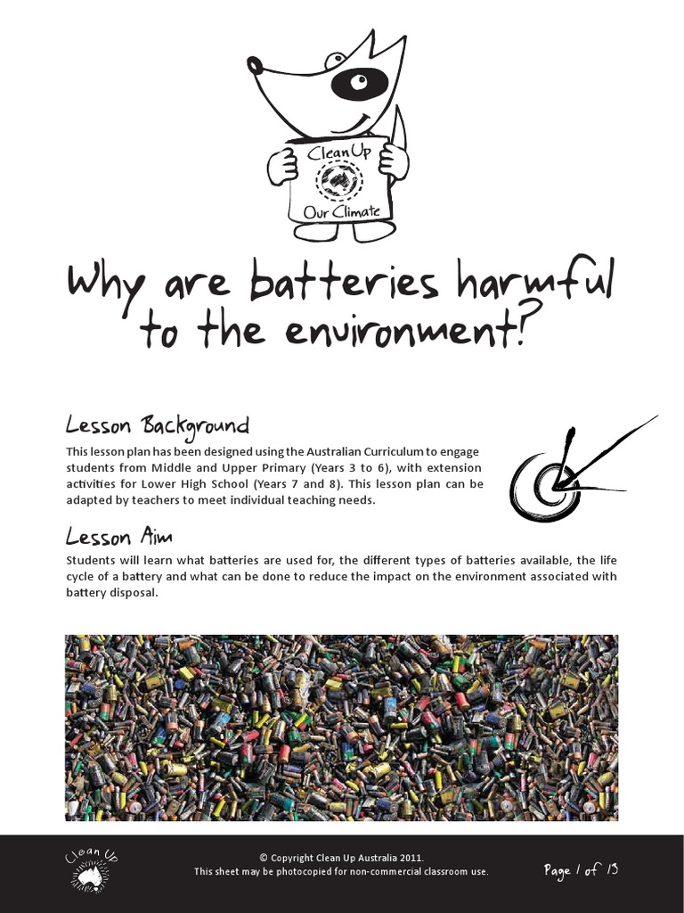 Why Are Batteries Harmful To The Environment PDF