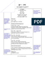 Example CV with clear structure and formatting