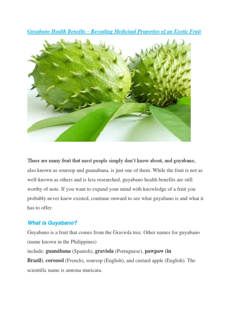 ️ Benefits of guyabano leaves and fruits. Soursop Tea Benefits and Side Effects. 20190208