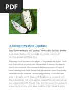 Guyabano Pdf Juice Soil