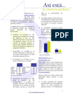 Así Está La Empresa Mediana (dic 2014) Círculo de Empresarios