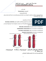 Chromosome