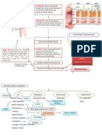 Rectal Ca, Poorly Differentiated Adenocarcinoma Stage Iv With Fallopian Tube & Ovarian Metastases (Concept Map)