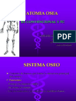 Anatomia Osea