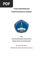 Download Staphylococcus Aureus by Dian Nur Rahmawati SN250567094 doc pdf