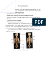 The Axial Skeleton