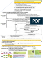 Tema 4. Plantilla