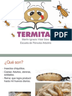 Las Termitas