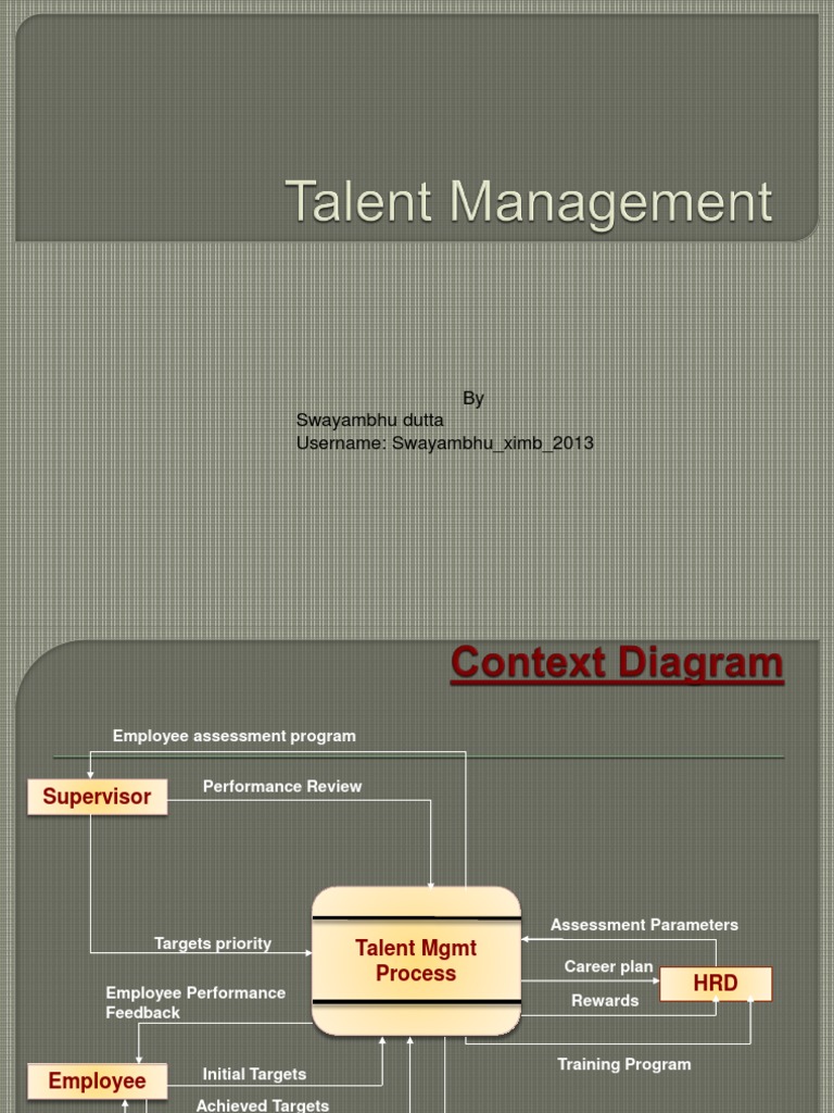 Talent Management Process Overview | PDF