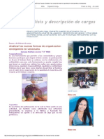 Análisis y Descripción de Cargos - Analizar Las Nuevas Formas de Organizacion Emergentes en Venezuela PDF