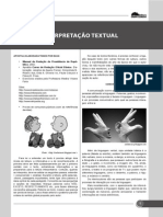 intepretação_textual.pdf