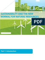 Sustainability and The New Normal For Natural Resources