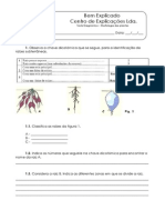 2. Diversidade das Plantas  -  Teste Diagnóstico (1).pdf