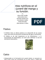 Elementos nutritivos en el periodo juvenil del mango.pptx