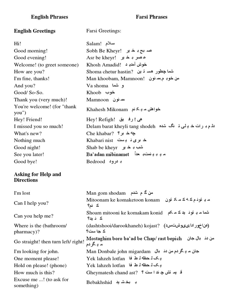 Persian-English & English-Persian ペ-英 辞書 Farsi-English / English-Farsi Hipp Dictionary and Phrasebook