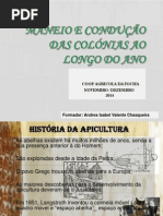 Maneio e Condução de Colónias.