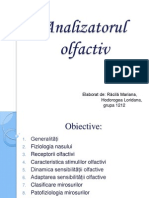 Analizatorul Olfactiv