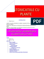 Plante Toxice Sem