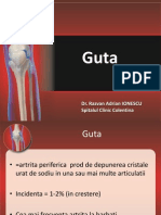 Guta_2012