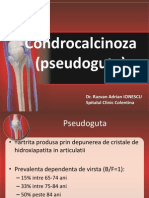 Pseudoguta 2012