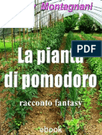 La Pianta Di Pomodoro