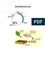 Bioteknologi