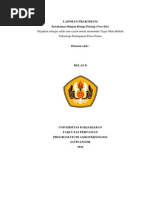 Download Praktikum 7 pascapanen by Adam Fauzan SN250706130 doc pdf