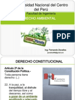 CLASE N 14 Derecho Ambiental