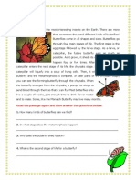 Read The Passage Again and Then Answer The Questions Below:: 1. How Many Kinds of Butterflies Can We Find?