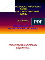 mecanismoscatalisis enzimatica 2013