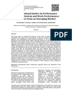 Organizational Justice in Performance Appraisal System and Work Performance: Evidence From An Emerging Market