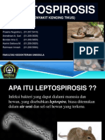 penyuluhan leptospirosis