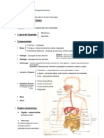1 - Sistema Digestorio PDF