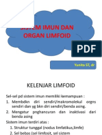 1.2.LIMFOID