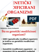 Genetički Modificirani Organizmi