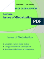 3 Issues Globalization