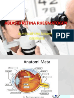 Ablasio Retina Rhegmatogen