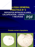 Patologia General Practica No 5