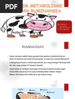 Download Metabolisme Ruminansia by Riyana Monita SN250756814 doc pdf