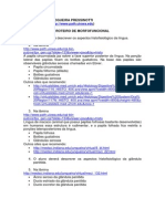 Apostila de Morfofuncional para Metabolismo