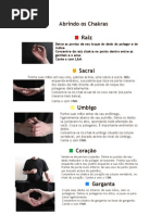 Os Chakras