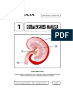 1 Sistem Ekskresi Manusia PDF