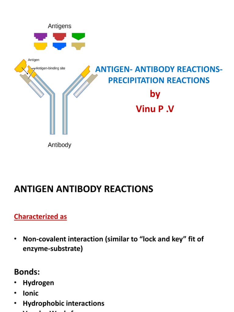 Antigen Antibody Precipitation Reactions Antibody Laboratory Techniques