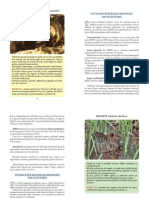 Continutul Brosuri - Fauna Din Rezervatia Biosferei Deltei Dunarii PDF