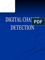 Digital Change Detection