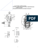 Manual Anatomie Cls 11ardelean