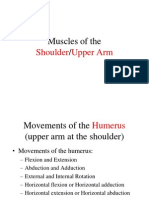 Muscles of The Shoulder and Upper Arm
